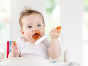Baby Food Jar: A Comprehensive Guide for Modern Parents
